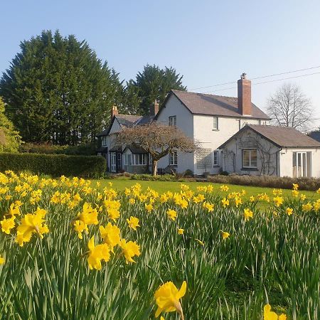 Lower House B&B Adforton Leintwardine Bagian luar foto