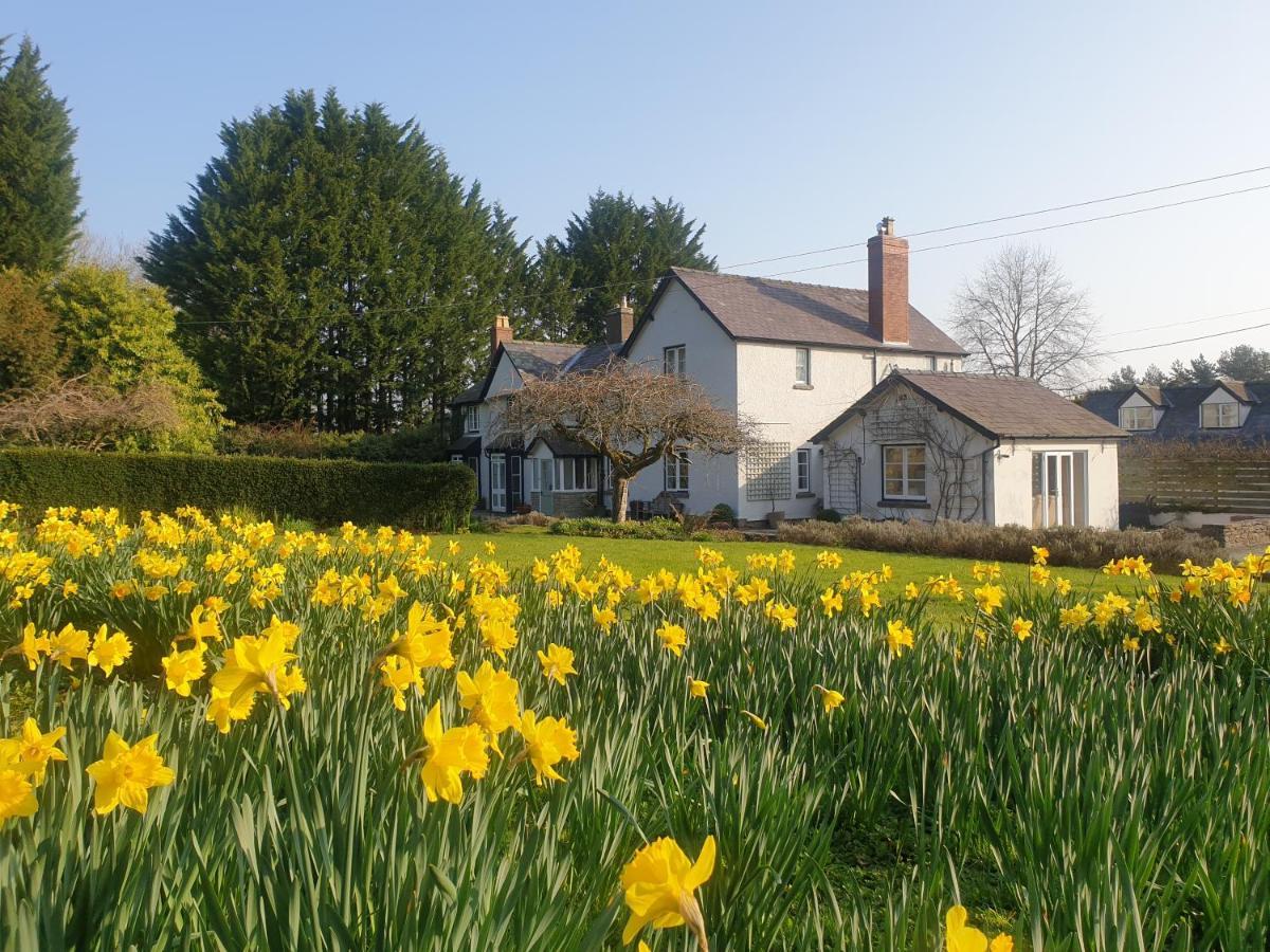Lower House B&B Adforton Leintwardine Bagian luar foto