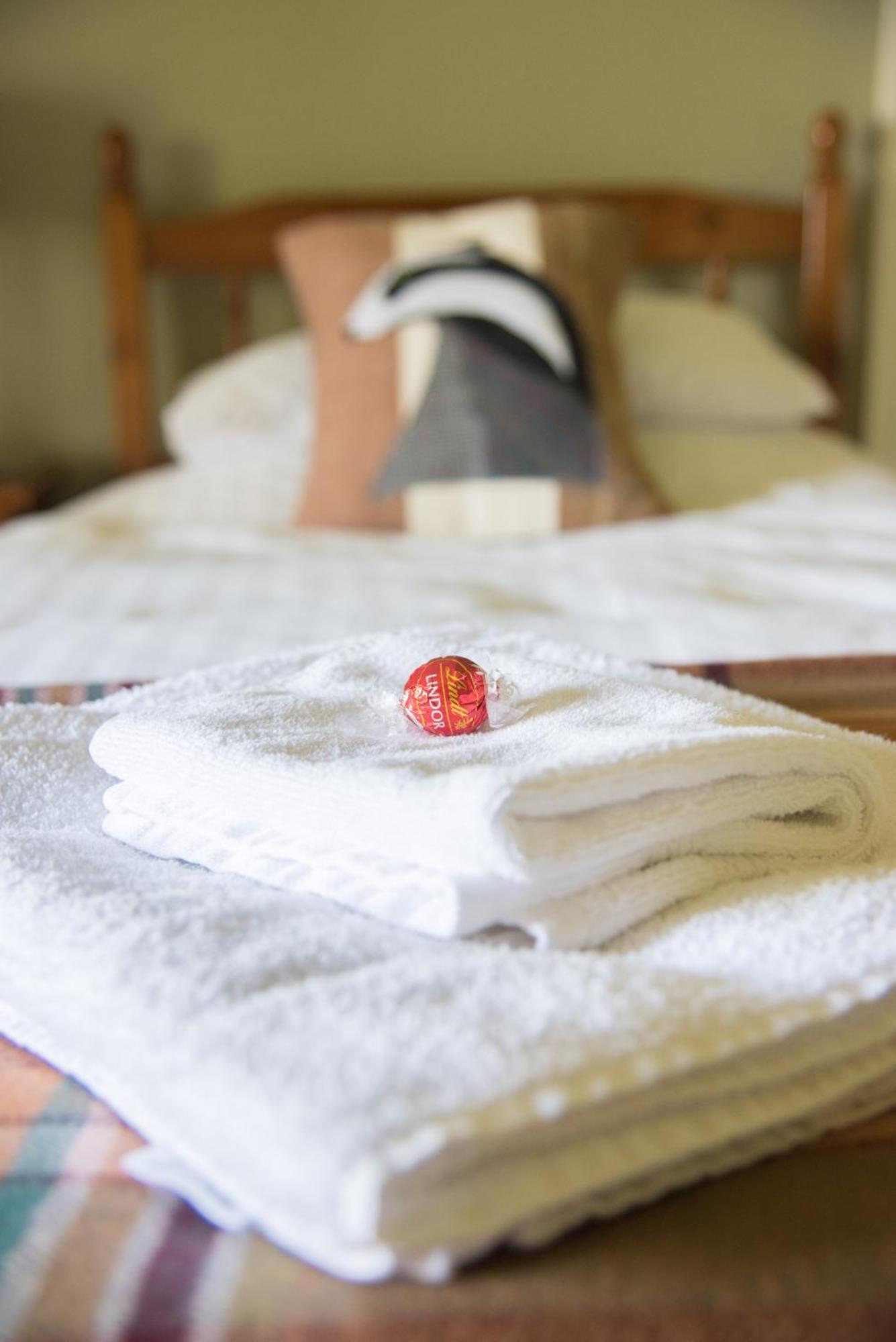 Lower House B&B Adforton Leintwardine Bagian luar foto
